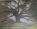 Live Oak tree with azaleas